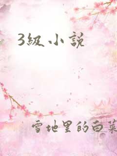 3级小说
