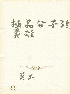 极品公子3续世枭雄