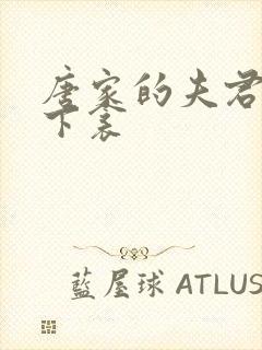 唐家的夫君们帘下衾