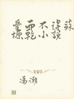 爱而不得苏路顾塬乾小说