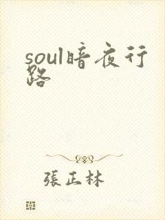 soul暗夜行路