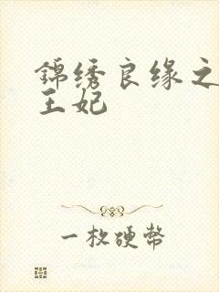 锦绣良缘之北地王妃