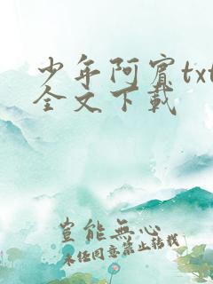 少年阿宾txt全文下载