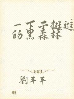 一下子挺进浓密的黑森林