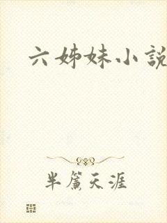 六姊妹小说