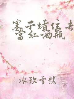 塞子堵住去上学 当红酒瓶