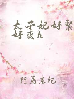 太子妃好紧皇上好爽h