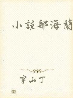 小说那海兰珠