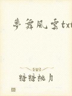 梦舞风云txt