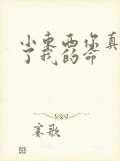 小东西你真能要了我的命