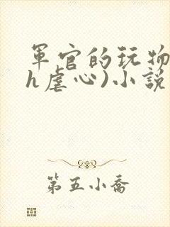 军官的玩物(高h虐心)小说