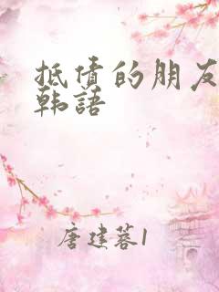 抵债的朋友麦子韩语