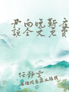 尹向晚靳夜擎小说全文免费阅读无弹窗