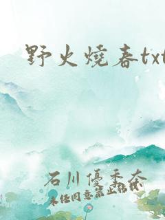 野火烧春txt