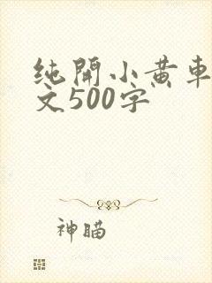 纯开小黄车小短文500字