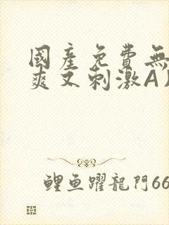 国产免费无码又爽又刺激A片小说