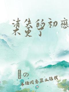 消失的初恋为啥不更了