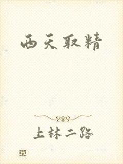 西天取精