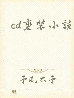 cd变装小说