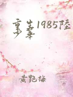 重生1985陆少华