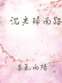 沉光归南路