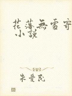 花落无处寄相思 小说