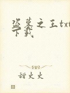 盗墓之王txt下载