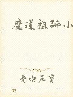 魔道祖师小说