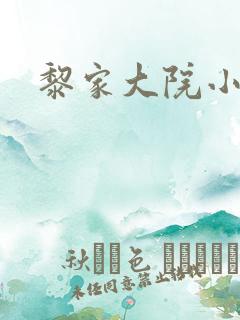 黎家大院小说