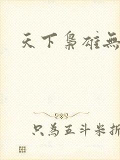 天下枭雄无弹窗