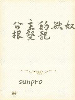 公主的欲奴h四根双龙