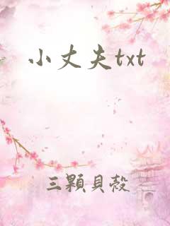 小丈夫txt