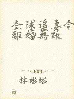 全球追妻令老婆离婚无效