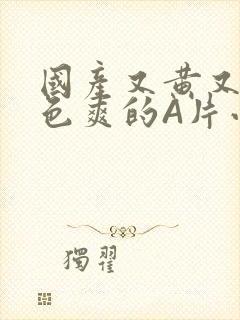 国产又黄又大又色爽的A片小说