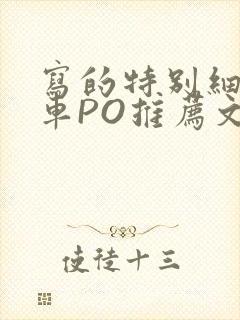 写的特别细的开车PO推荐文多人