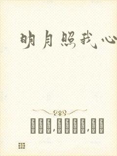 明月照我心小说