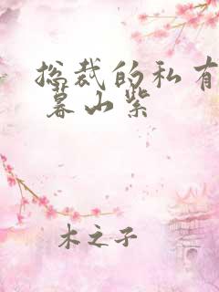 总裁的私有宝贝 暮山紫