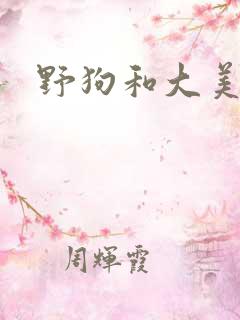 野狗和大美人
