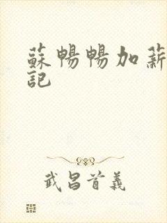 苏畅畅加薪奋斗记