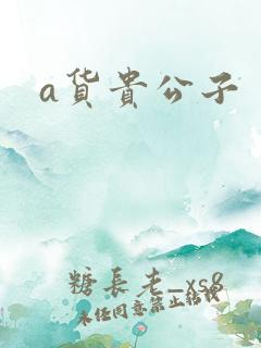 a货贵公子