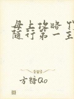 母上攻略 竹影随行第一主板