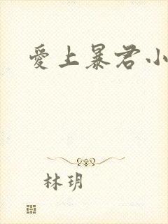 爱上暴君小甜心