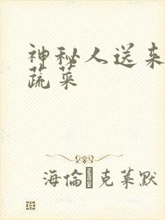 神秘人送来千斤蔬菜