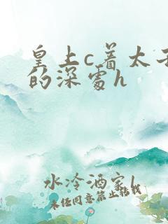皇上c着太子妃的深处h