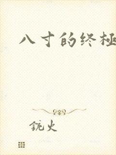 八寸的终极凶器