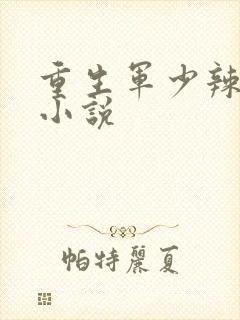 重生军少辣娇妻小说