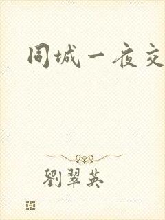 同城一夜交友