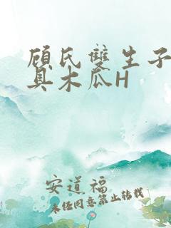 顾氏双生子的玩具木瓜H