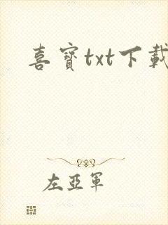 喜宝txt下载