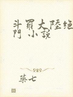 斗罗大陆绝世唐门 小说